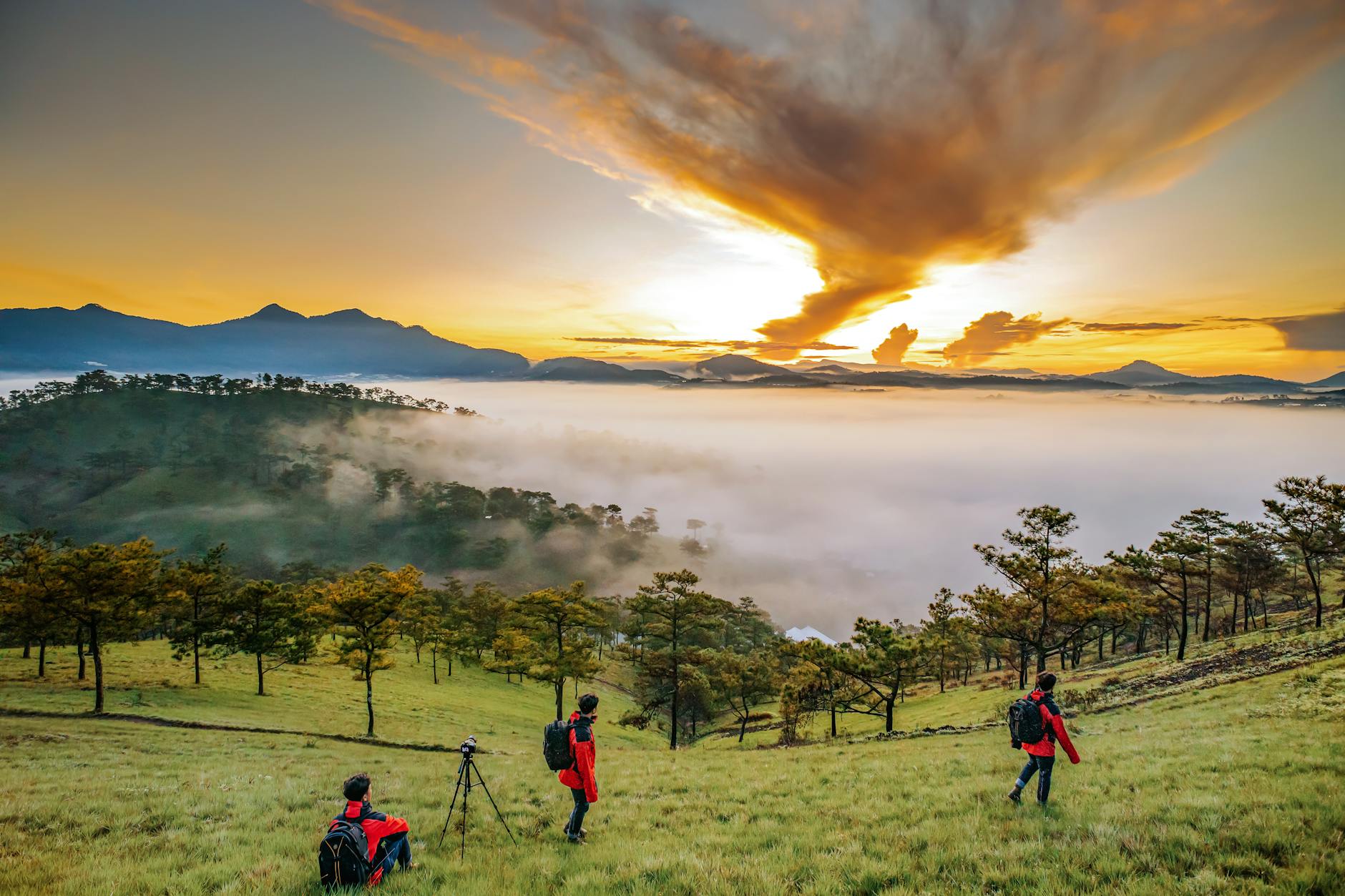 tourist shooting sunset over green forest