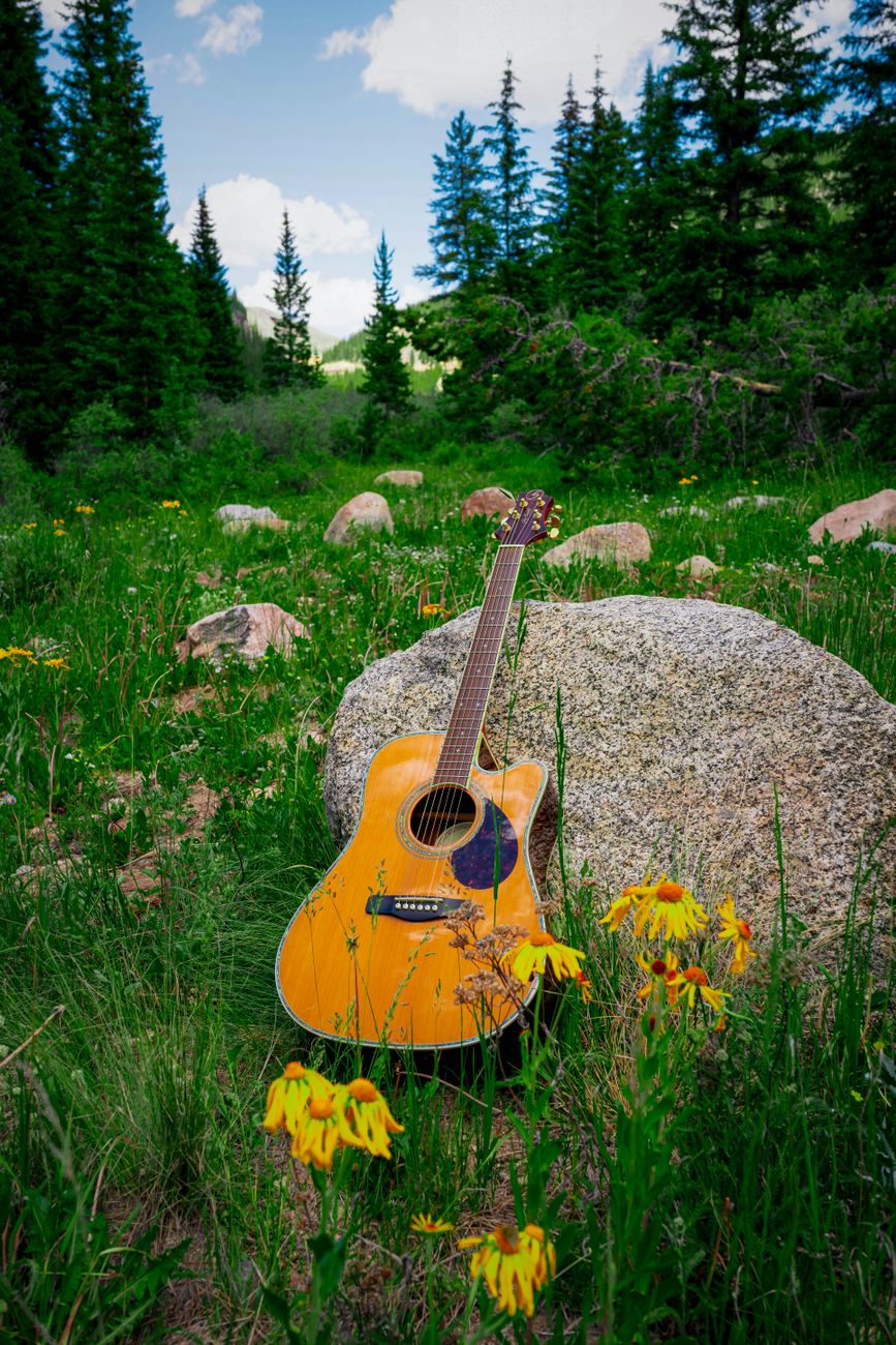acoustic guitar in scenic mountain meadow